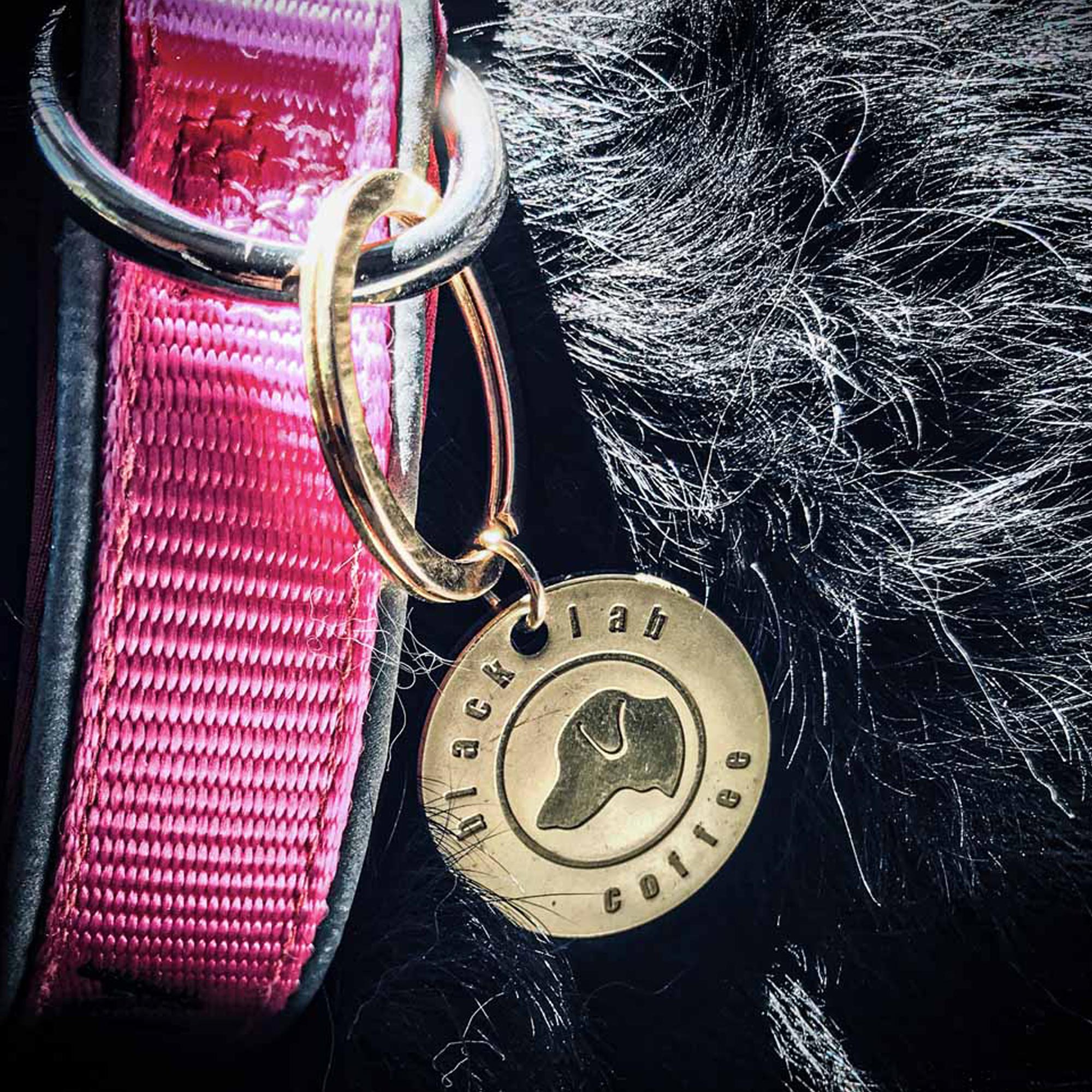 brass dog tag on black dog